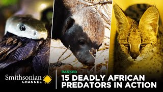 15 Deadly African Predators in Action 🦁 Smithsonian Channel [upl. by Agemo]