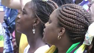 Oliver Mtukudzi  Responsibilities  LIVE at Afrikafestival Hertme 2013 [upl. by Champaigne]