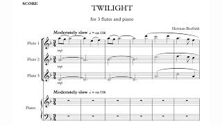 Herman Beeftink quotTwilightquot 3 flutespiano SHEETMUSIC [upl. by Moe15]