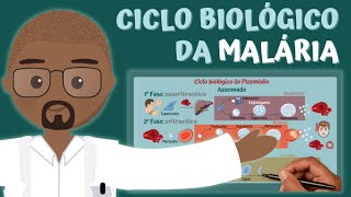 Ciclo Biológico da MALÁRIA Plasmódio  PARASITOLOGIA ILUSTRADA [upl. by Hsot]