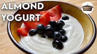 Vegan Almond Yogurt Recipe  How to Make Vegan Yogurt at Home [upl. by Edme799]