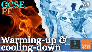 GCSE PE  WARMING UP amp COOLING DOWN phases amp benefits  Health Fitness amp Training 73 [upl. by Lanford237]