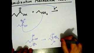 How to Make Amides Mechanism [upl. by Uthrop]