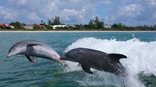 Explore Sanibel Island [upl. by Nidnerb517]