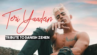 Teri Yaadein  Danish Zehen Official Video MTVIndiaa TRIBUTE SONG 2024 [upl. by Aitnahc]