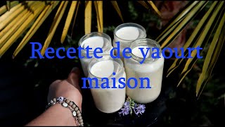 Recette Yaourt Maison avec yaourtière [upl. by Einahpats]