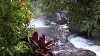 Discover Costa Rica [upl. by Ntisuj500]