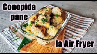 CONOPIDA PANE LA AIR FRYER [upl. by Anitap329]