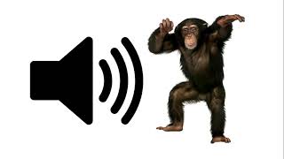 Monkey  Sound Effect [upl. by Julianna]