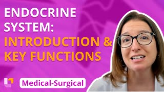 Endocrine Introduction amp Key functions  MedicalSurgical  Endocrine  Level Up RN [upl. by Niwle]