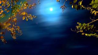 Song to the Moon from Rusalka by Dvorak Sung in English by Yvonne Kenny [upl. by Yroc]