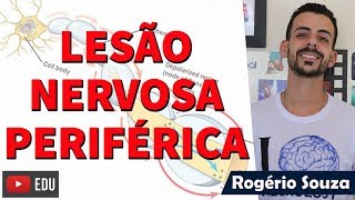 LESÃO NERVOSA PERIFÉRICA Neuropraxia Axonotmese e Neurotmese  Rogério Souza [upl. by Jacquet]