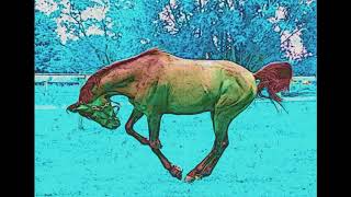 Horse Hypnosis Alpha Male Guided Meditation Self Hypno Binaural Subliminal [upl. by Eneli]