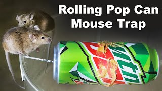 How to catch mice with a pop can and a coat hanger DIY Mousetrap Mousetrap Monday [upl. by Jeanie375]