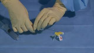 LifeGuard Safety Huber Needle Tutorial AccessingDeaccessing an ImplantablePort [upl. by Schulein31]