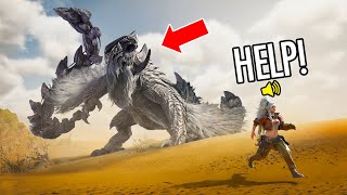 Monster Hunter Wilds WTF amp Funny Moments 1 [upl. by Rucker811]