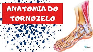 ANATOMIA DO TORNOZELO  osteologia ligamentos e articulações  FISIO EM MOVIMENTO [upl. by Aleak759]