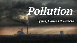 Pollution Mini Documentary Types  Causes  Effects [upl. by Aicil474]