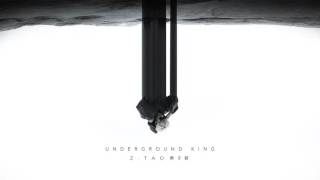 ZTAO  Underground King Official Audio [upl. by Kerwon]