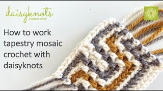 How To Work A Tapestry Mosaic Sample With daisyknots [upl. by Kone]