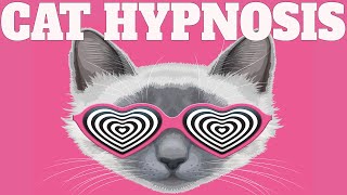 Sound To Calm Cats Within Minutes  Cat Hypnosis [upl. by Olnek]