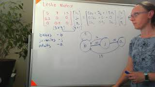 Leslie Matrices  an example calculating future population [upl. by Iris199]