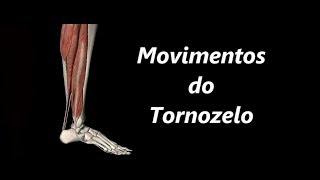 Movimentos do Tornozelo em 3D [upl. by Ahsinek]