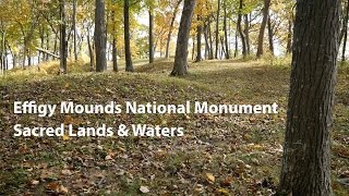 Effigy Mounds National Monument Sacred Lands amp Waters [upl. by Gefell]