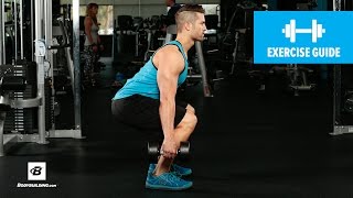 How to Dumbbell Squat  Mike Hildebrandt [upl. by Demaggio]