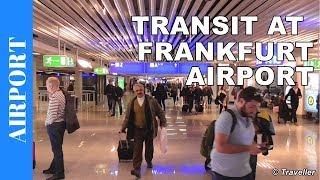 TRANSIT WALK AT FRANKFURT Airport FRA Terminal 1  Connection Flight Transfer Arriving amp Departing [upl. by Hausner]