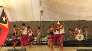 Performance Timor Leste in Israel [upl. by Alyahc]