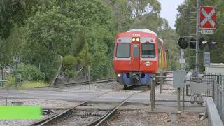 KEOLIS DOWNER ADELAIDE METRO TRAIN SERVICES [upl. by Synn]